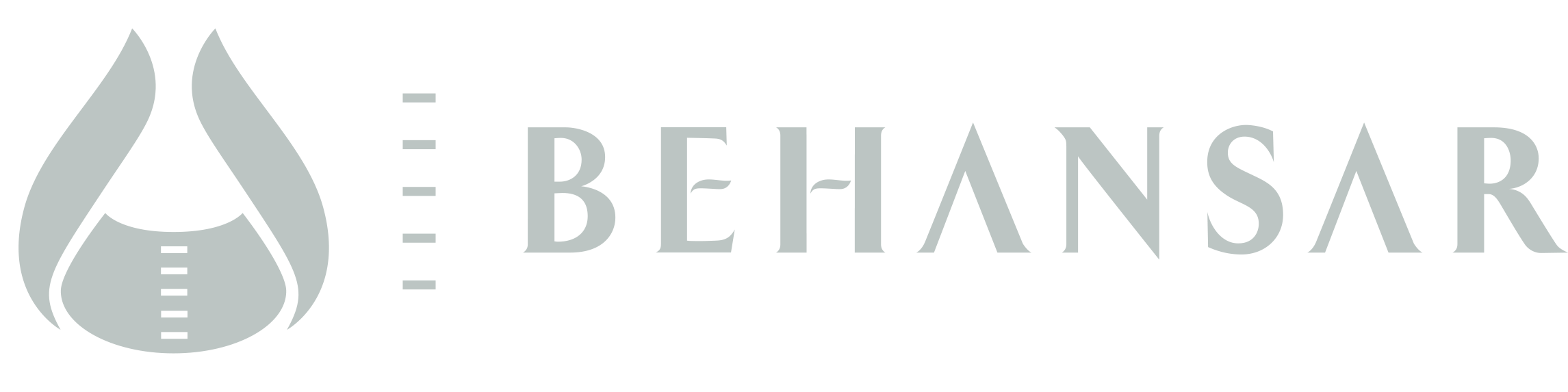 Behansar Co Logo Light